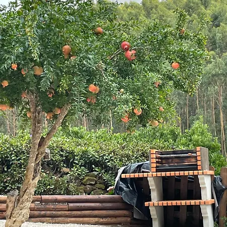 Beija Rio Charming House シャレー Ferreira do Zêzere