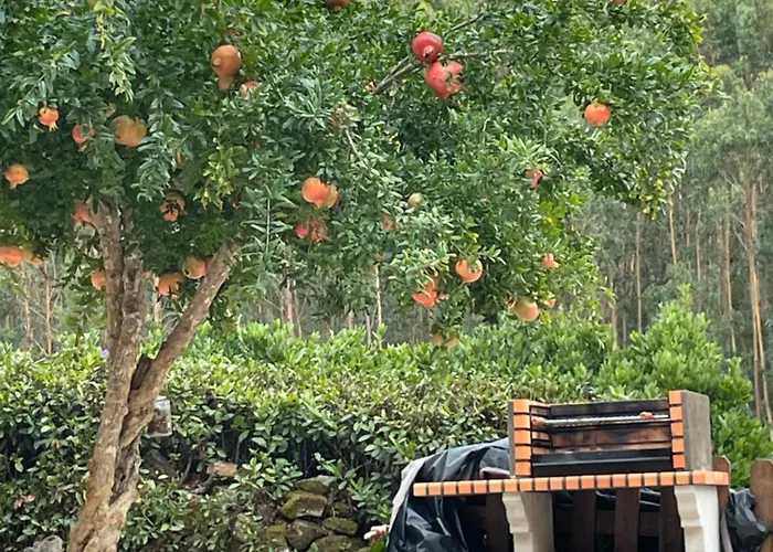 Beija Rio Charming House Alpehytte Ferreira do Zêzere